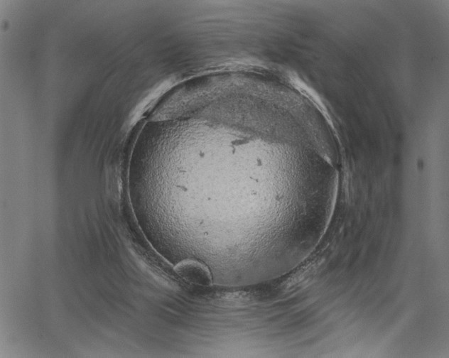 X0000065970059200603061159