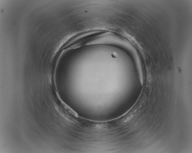 X0000065970060200603061159