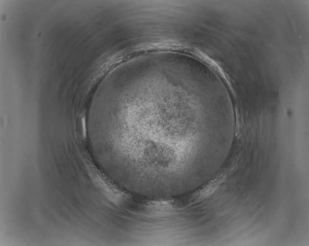 X0000065970061200603061159