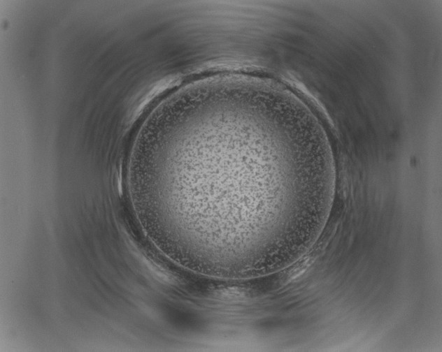 X0000065970062200603061200