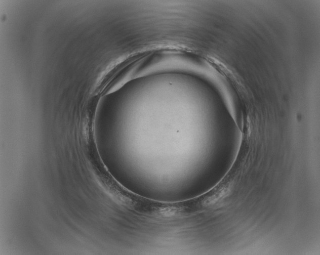 X0000065970064200603061200