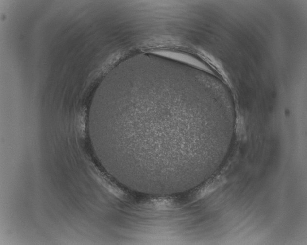 X0000065970065200603061200