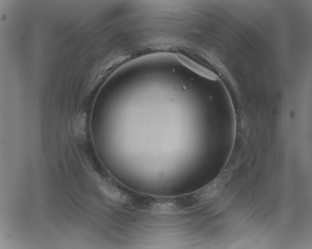 X0000065970066200603061200