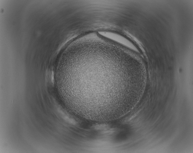 X0000065970067200603061200