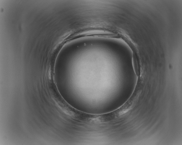 X0000065970068200603061200