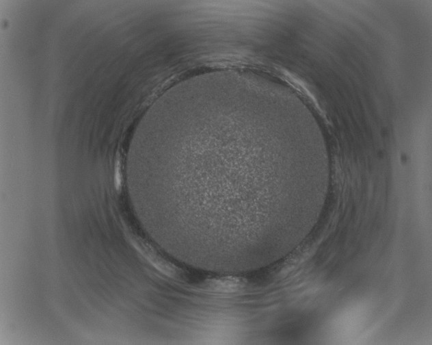 X0000065970069200603061200