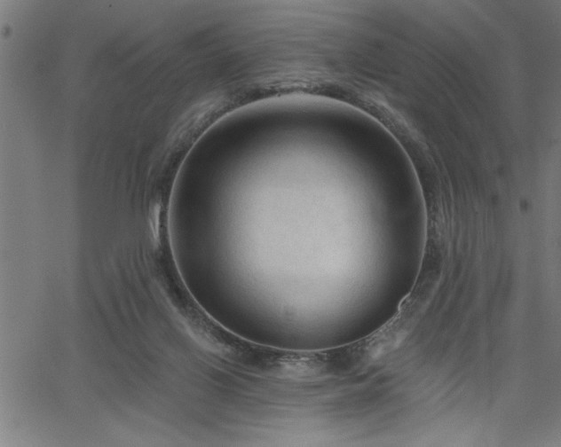 X0000065970070200603061200