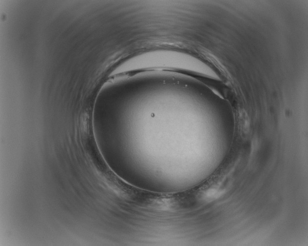 X0000065970071200603061200