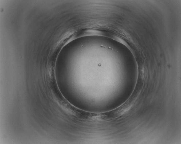 X0000065970072200603061200