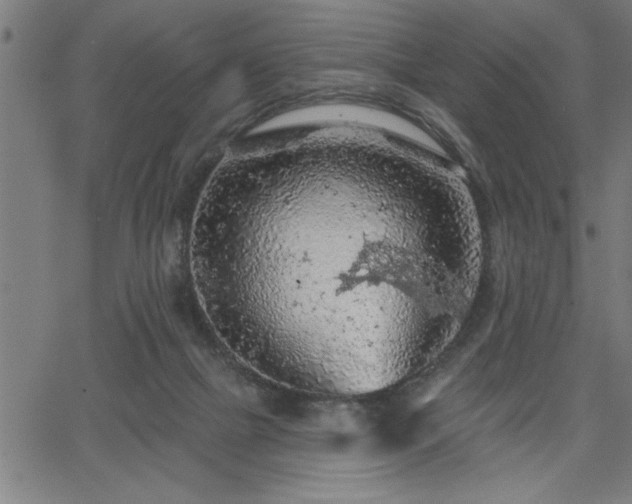 X0000065970073200603061200