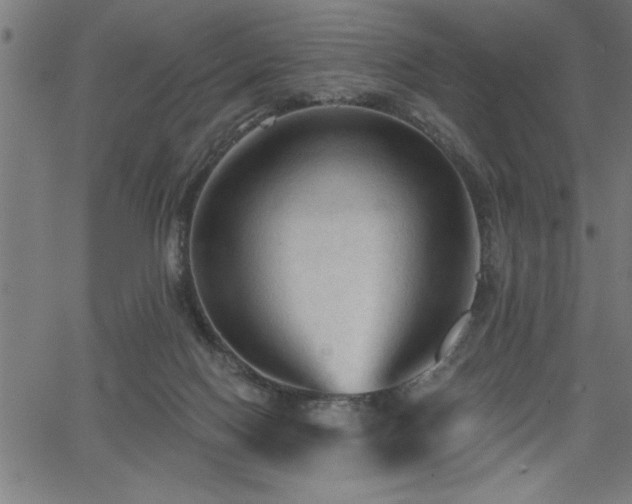 X0000065970074200603061200