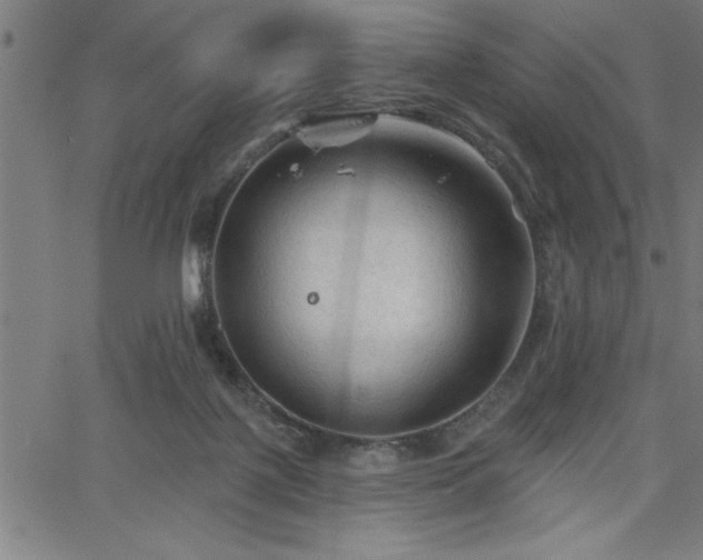 X0000065970075200603061200