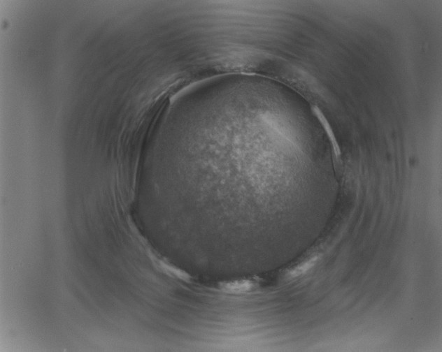 X0000065970076200603061200