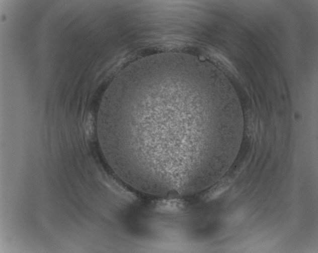 X0000065970077200603061200