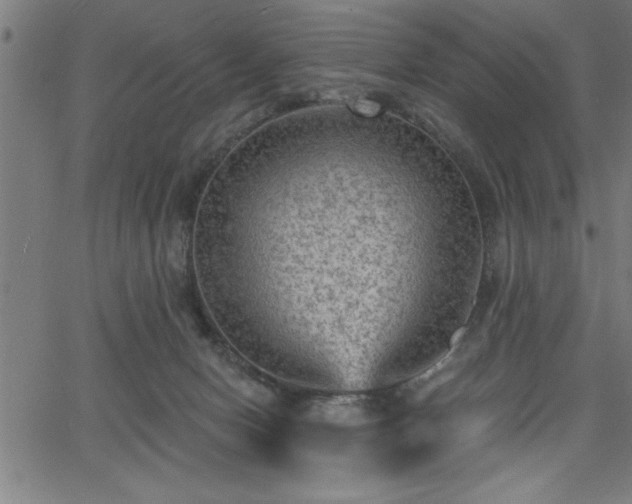 X0000065970078200603061200