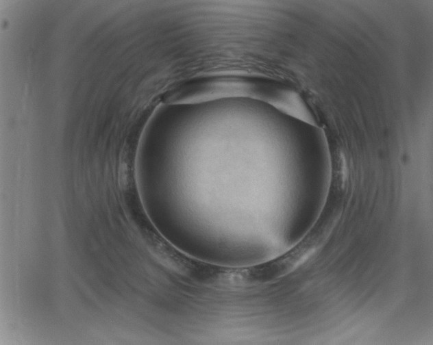 X0000065970080200603061200