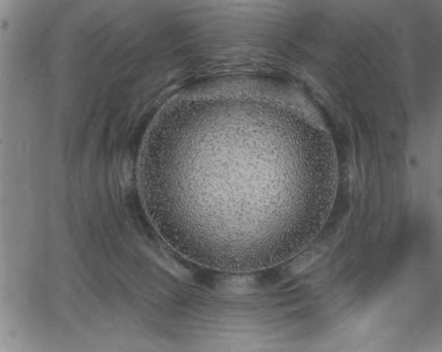 X0000065970081200603061200