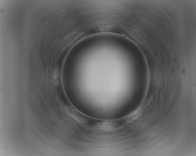 X0000065970082200603061200