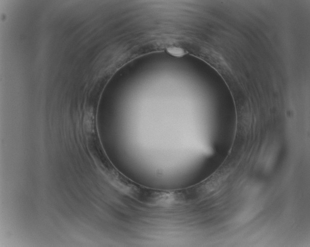 X0000065970083200603061200