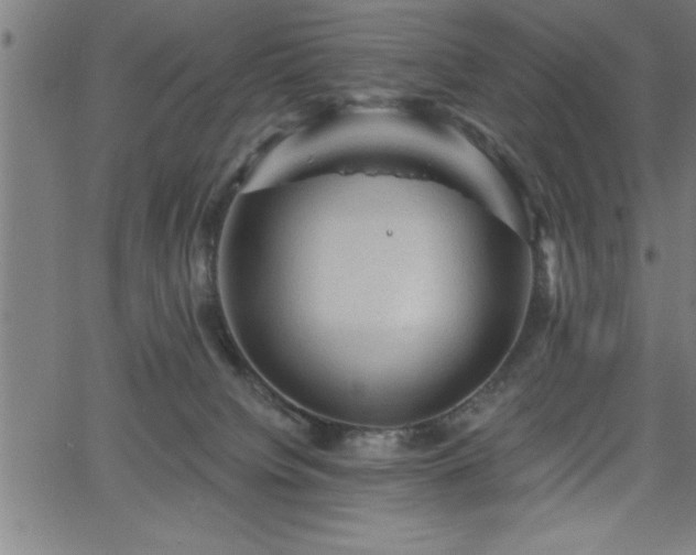 X0000065970084200603061200