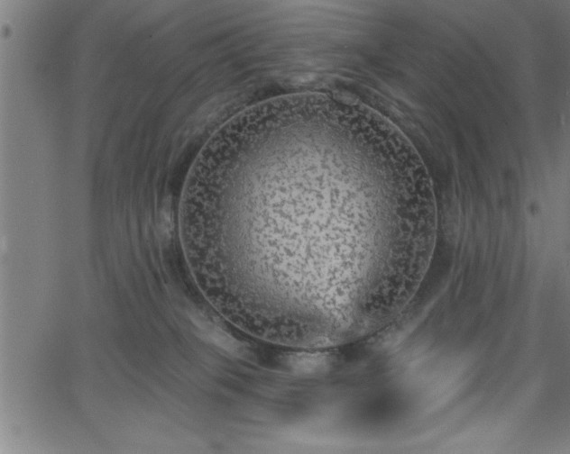 X0000065970085200603061200