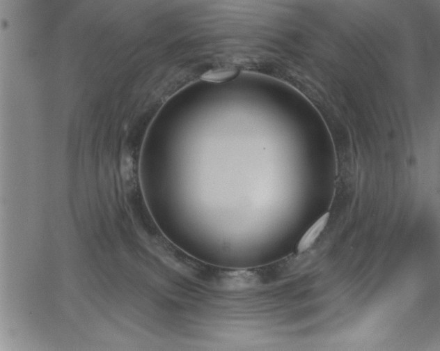 X0000065970087200603061200