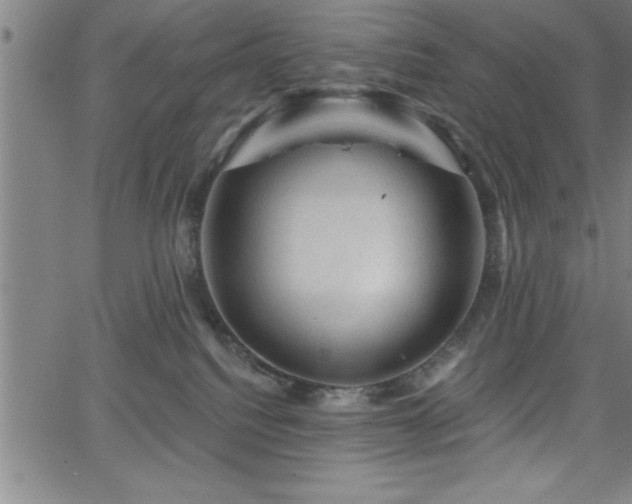 X0000065970088200603061200