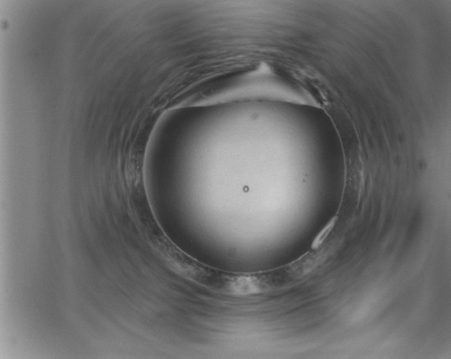 X0000065970091200603061200