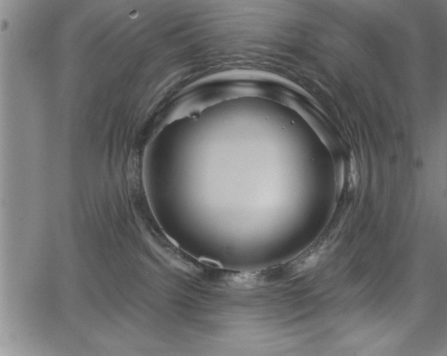 X0000065970092200603061200