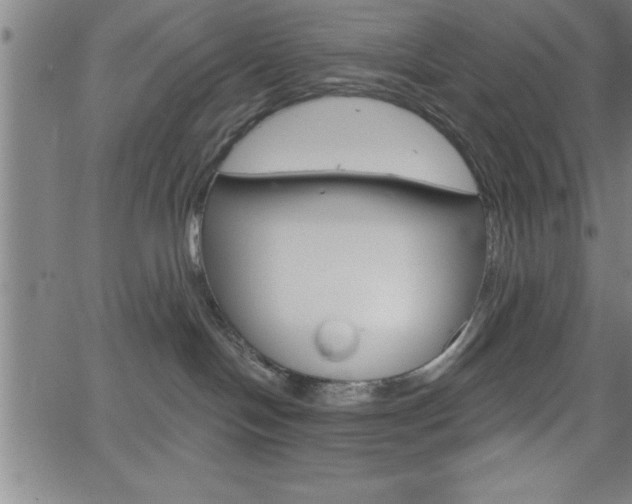 X0000065970094200603061200