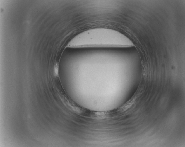 X0000065970095200603061200