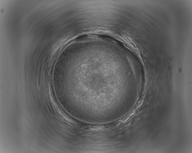 X0000065970097200603061159