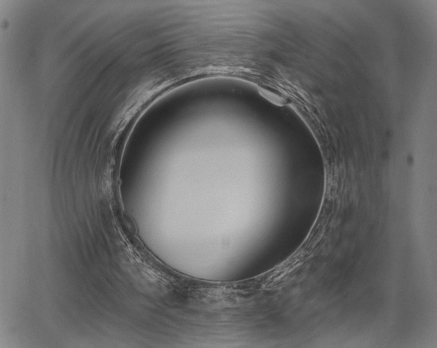 X0000065970098200603061159