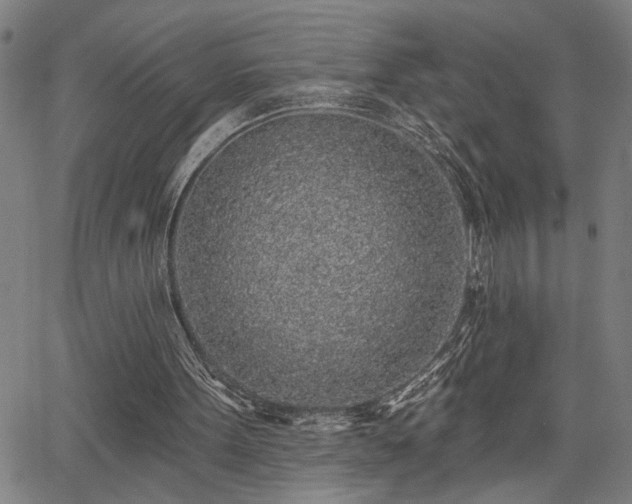 X0000065970099200603061159