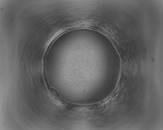 X0000065970100200603061159