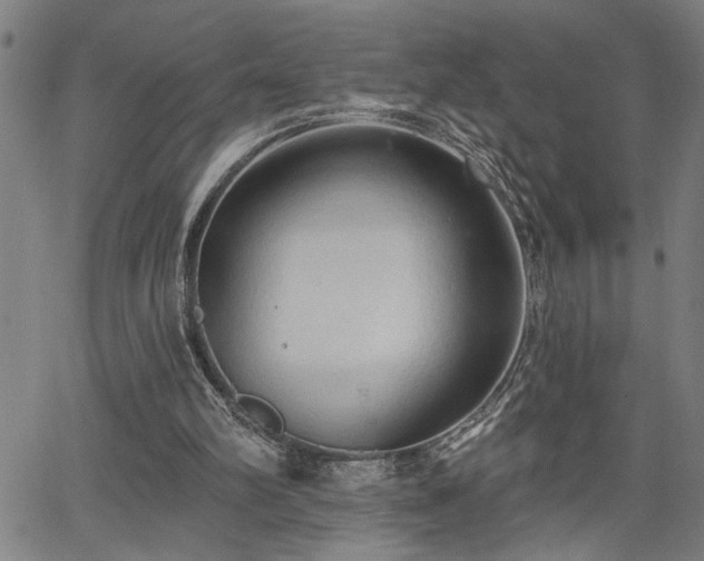 X0000065970102200603061159