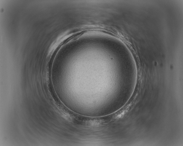 X0000065970103200603061159