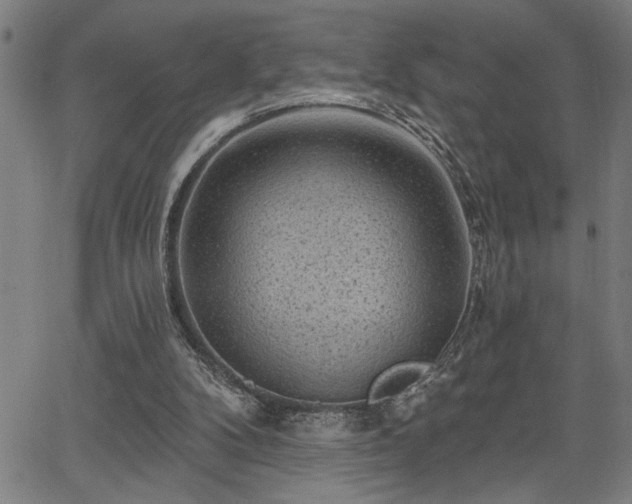 X0000065970104200603061159