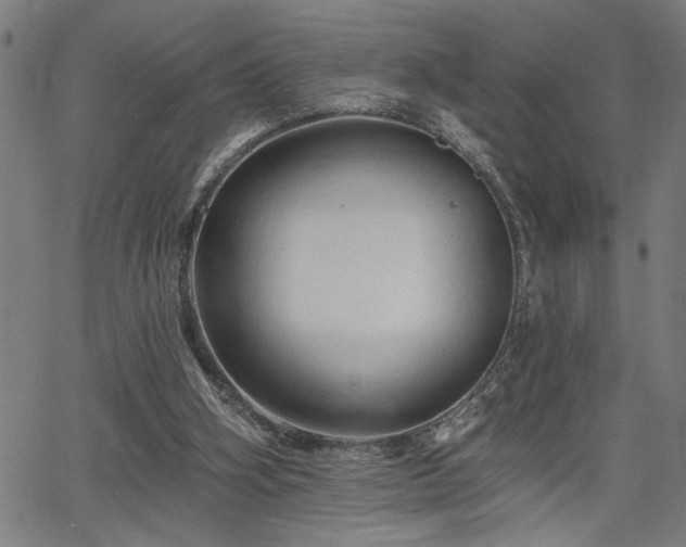 X0000065970106200603061159