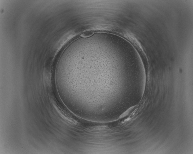 X0000065970108200603061159