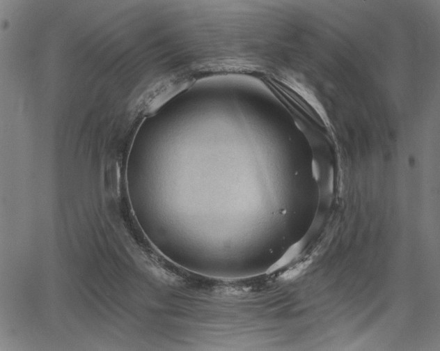 X0000065970109200603061159