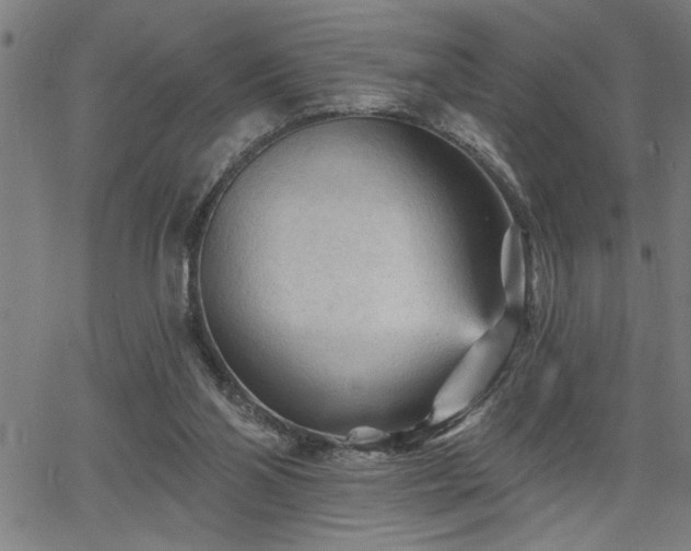 X0000065970110200603061159