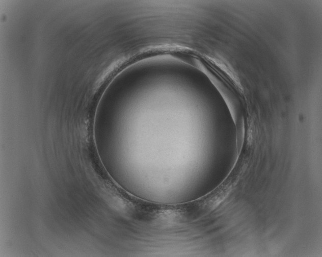 X0000065970111200603061159