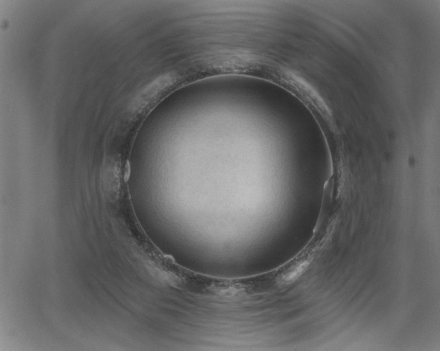 X0000065970113200603061159