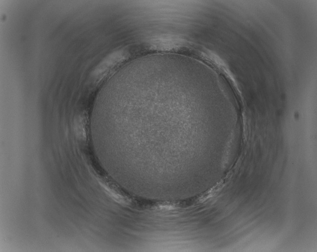 X0000065970114200603061159