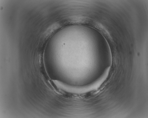 X0000065970115200603061159