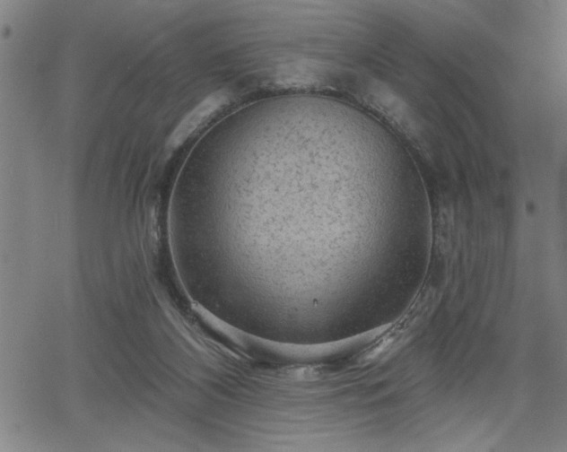 X0000065970116200603061159