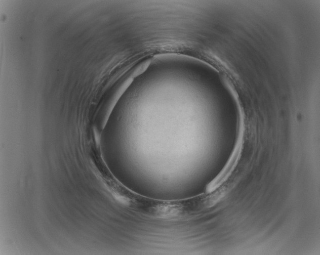 X0000065970117200603061159