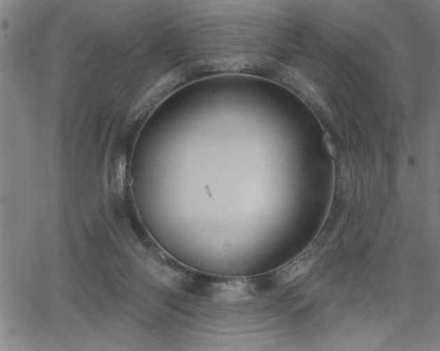 X0000065970118200603061159