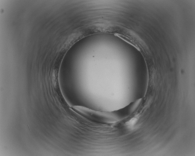 X0000065970121200603061159